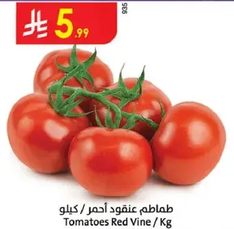 Red vine tomatoes.