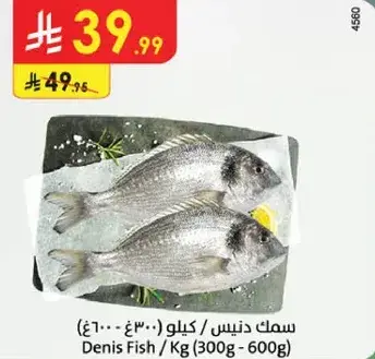 سمك دنيس.