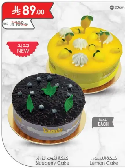 Blueberry Cake / Lemon Cake