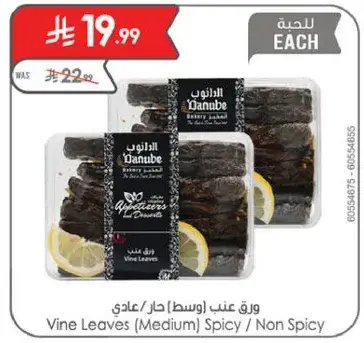 Vine Leaves (Medium) Spicy / Non Spicy