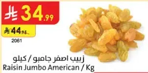 زبيب اصفر جامبو / كيلوا