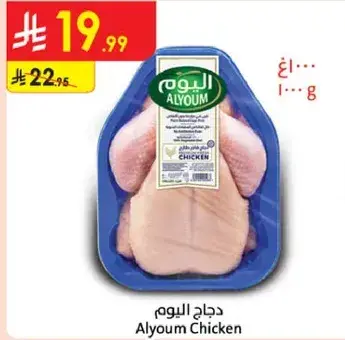 دجاج اليوم