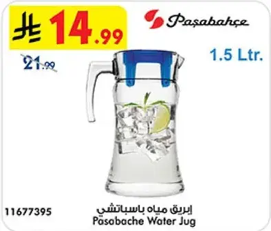 ابريق مياه باسيفيشي