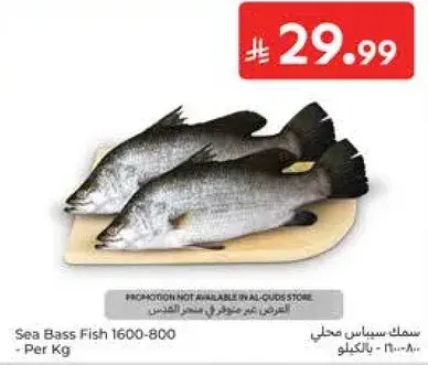 Sea Bass Fish 1600-800g