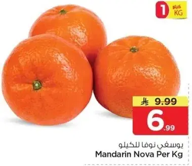 Mandarin Nova Per Kg