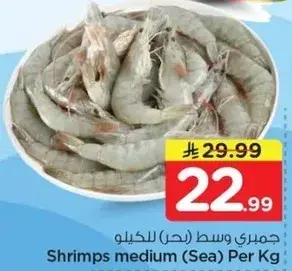 جمبري وسط (بحر) للكيلو