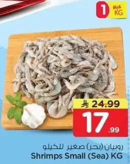روبيان (بحر) صغير للكيلو