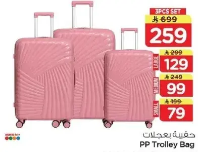 PP Trolley Bag 3PCS Set