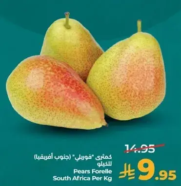 Pears Forelle South Africa Per Kg