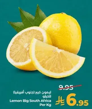 Lemon Big South Africa Per Kg