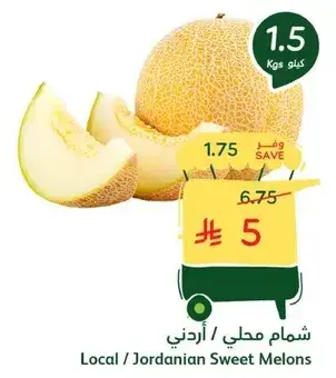 شمام محلي اردني