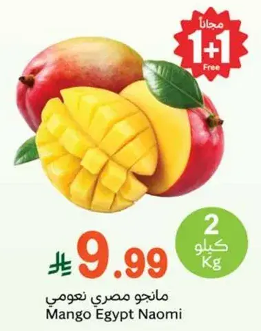 Mango Egypt Naomi
