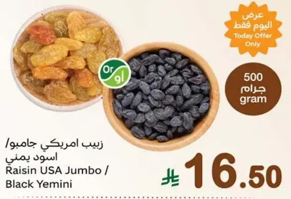 Raisin USA Jumbo / Black Yemini