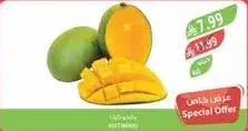 Fresh mango, sweet and ripe.