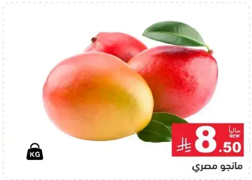 مانجو مصري.