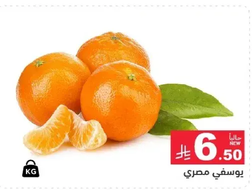 يوسفي مصري