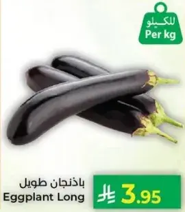 باستخدام طويل