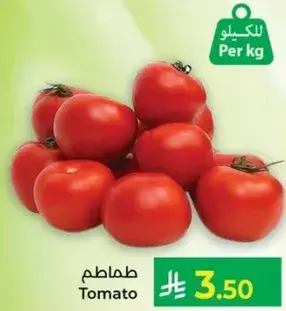 Tomato