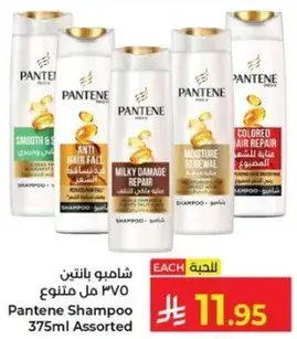 Pantene Shampoo 375ml Assorted