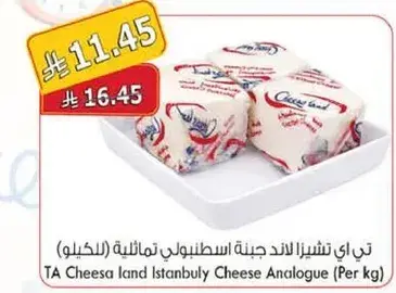 TA Cheese land Istanbul Cheese Analogue (Per kg)
