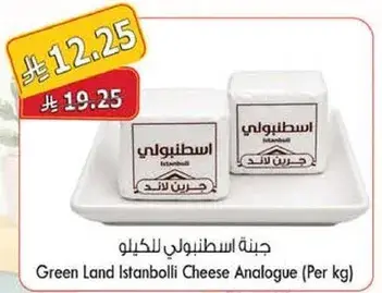 Green Land Istanbul Cheese Analogue (Per kg)