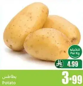 بطاطس