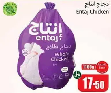 دجاج انتاج طازج