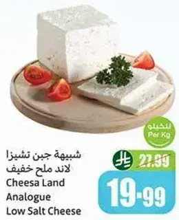 Cheese Land Analogue Low Salt Cheese