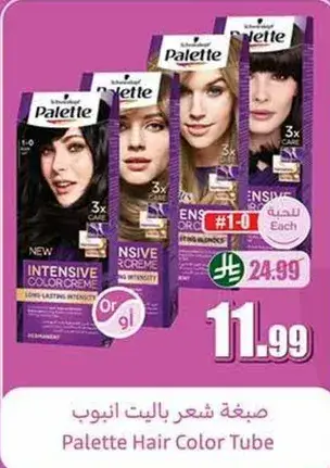 Palette Hair Color Tube 1