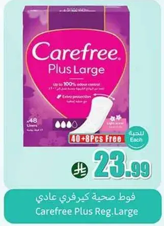 Carefree Plus Reg.Large