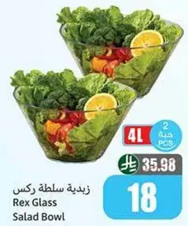 Rex Glass Salad Bowl Set