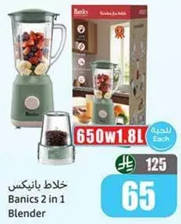 Banics 2 in 1 Blender