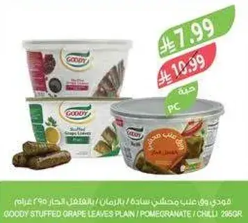 ورق عنب محشي ساده 286 غرام