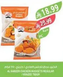 الكبير دجاج ناجتس 760 جرام