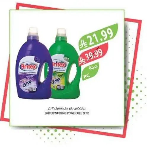BRITEX WASHING POWER GEL 3LTR
