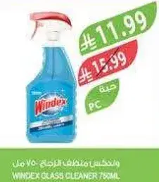 WINDEX GLASS CLEANER 750ML