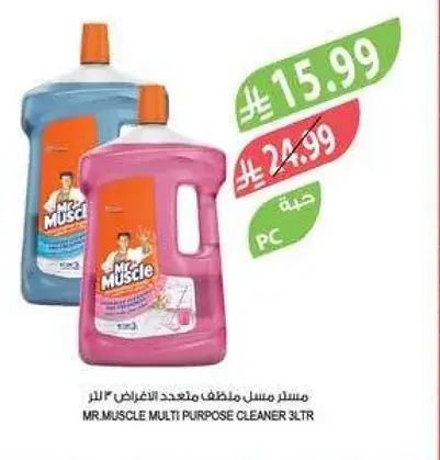 Mr. Muscle Multi Purpose Cleaner 3L