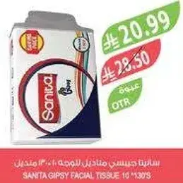 سانيتا جيسي مناديل للوجه 10