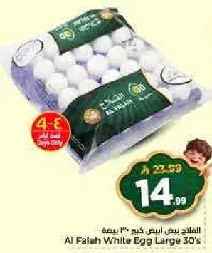 Al Falah White Egg Large 30's