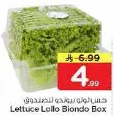 خس لولو بوندو للصندوق