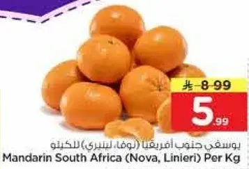 يوسفي جنتي افريقيا (نوفا، لينيري) للكغ