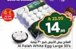 الفلاح بيض ابيض كبير 30 حبه