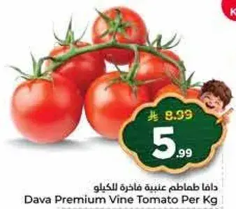 Dava Premium Vine Tomato Per Kg
