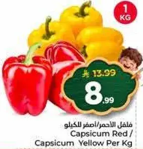 فلفل الاحمر/الاصفر للكيلو