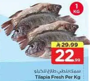 Tilapia Fresh Per Kg