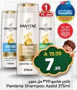 Pantene Shampoo Assorted 375ml