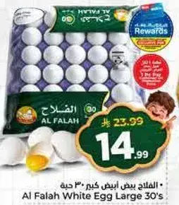 الفلاح بيض ابيض كبير 30 حبه