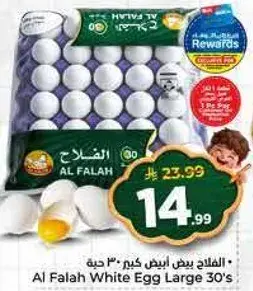 Al Falah White Egg Large 30's