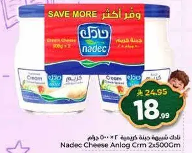 Nadec Cheese Anlog Crm 2x500g