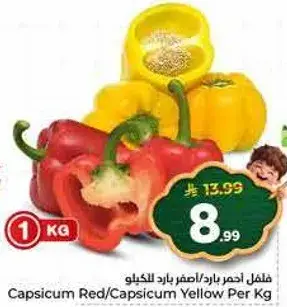 فلفل احمر/اصفر لكل كيلو